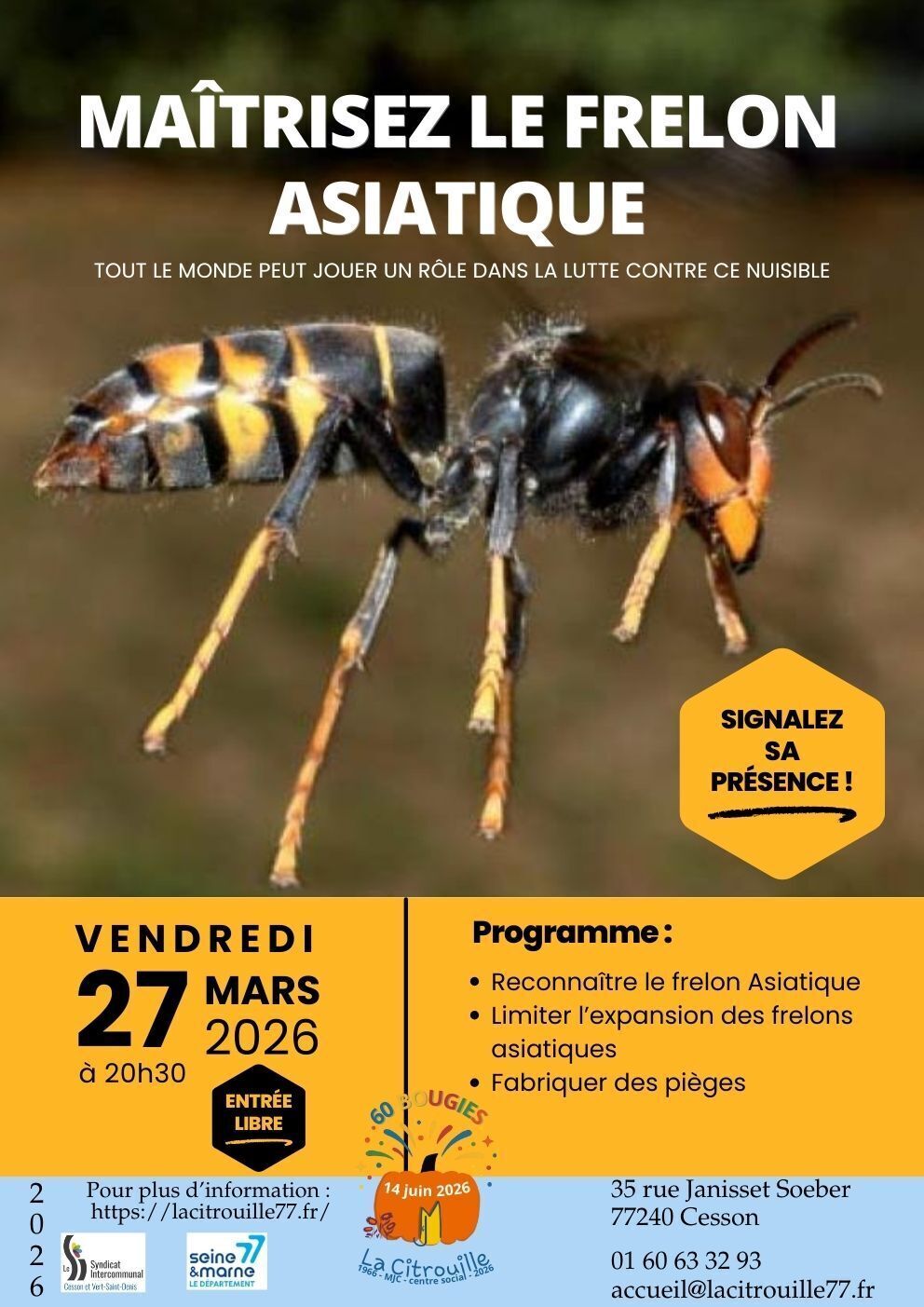 Affiche frelon asiatique