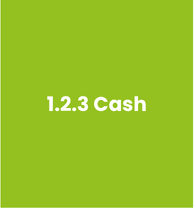 1.2.3 cash