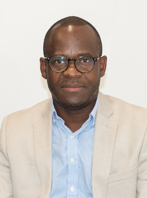 14. Sylvain MINAMONA