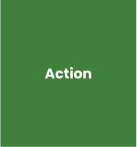 action