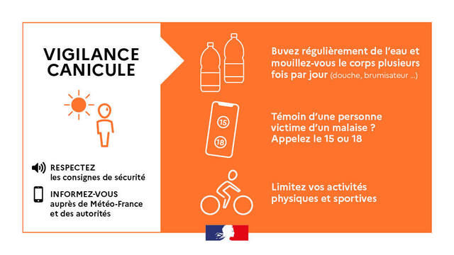 Canicule