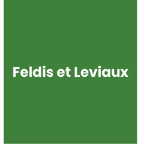 feldis leviaux
