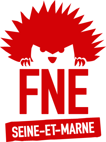 FNE